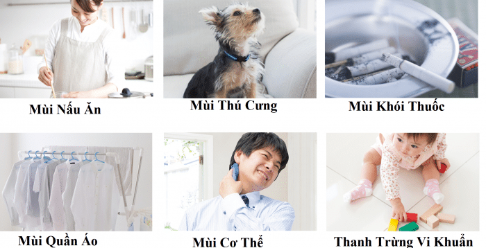 Lọc không khí nội địa Nhật Bản