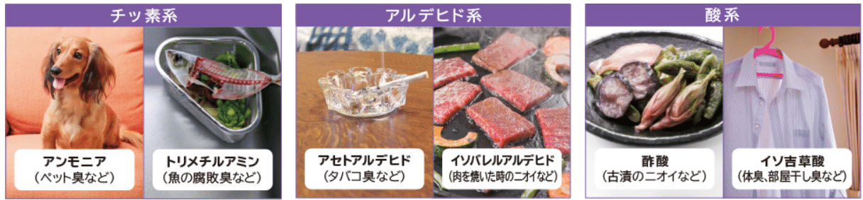 Máy lọc không khí nội địa Nhật