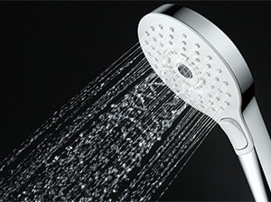 sen tắm TOTO TBV03404J