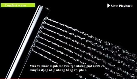 Sen tắm TOTO TBV03405J