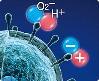 Ion plasma Ion plasma