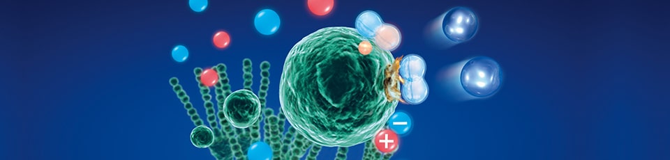 Ion plasma Ion plasma