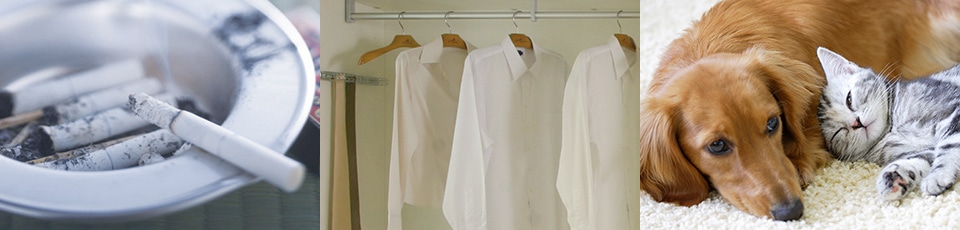 Ion plasma Ion plasma