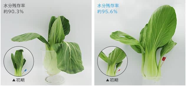 Tủ lạnh Hitachi nội địa Nhật Bản