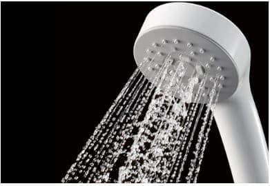 Sen tắm TOTO nội địa Nhật