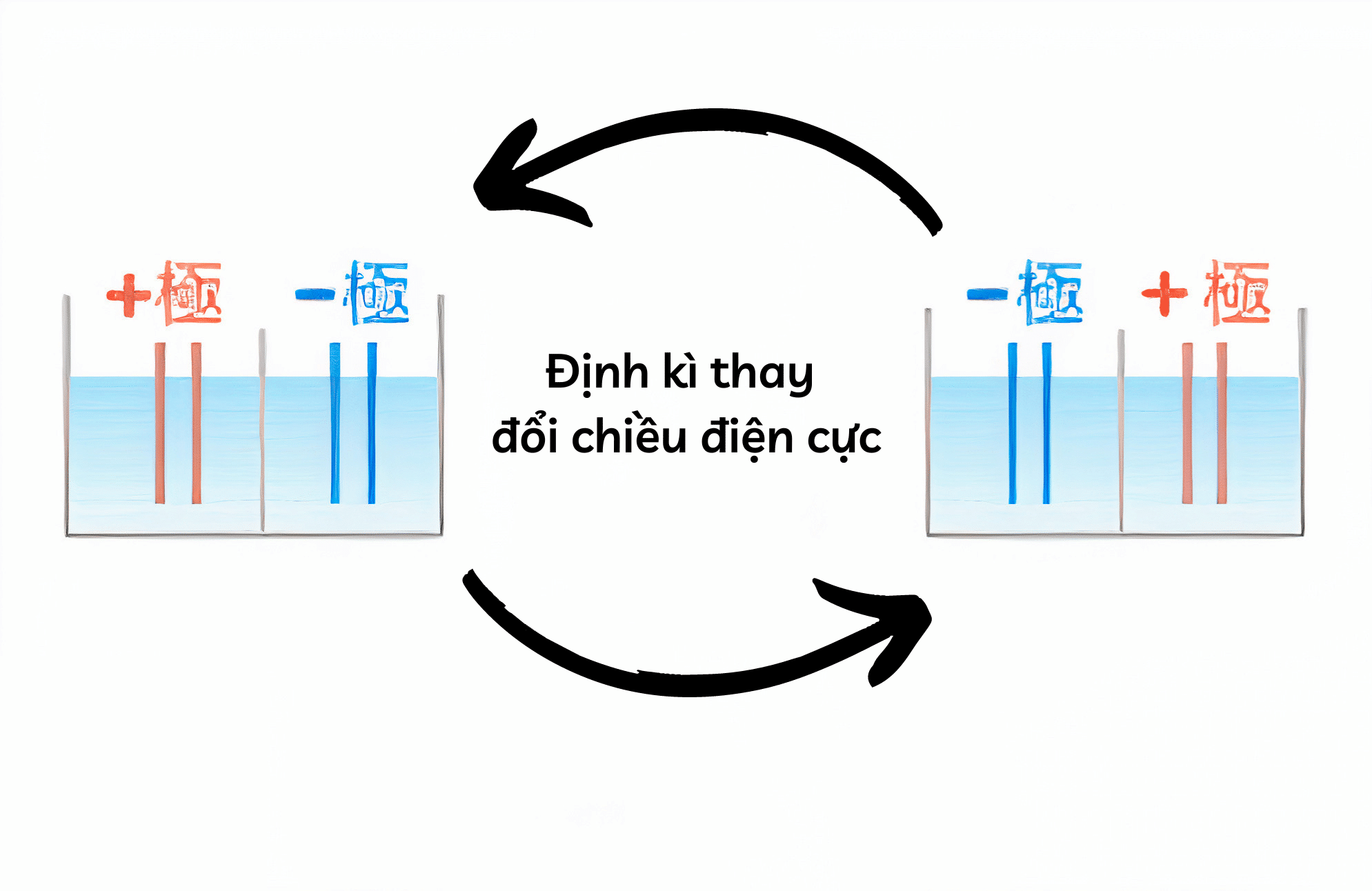 Đảo chiều điện cực tự động kép