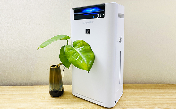 Máy lọc không khí Sharp nội địa Nhật