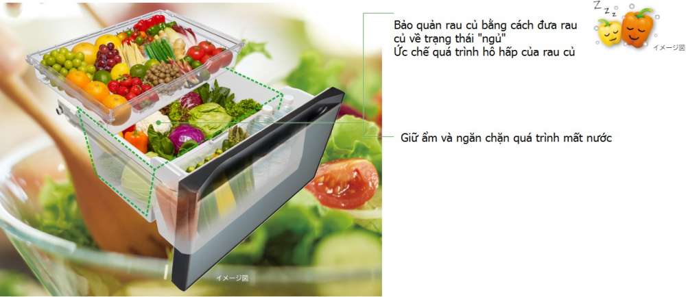 Tủ lạnh Hitachi nội địa Nhật R-HWC54T-N