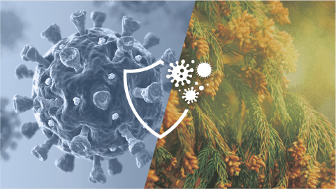 Máy lọc không khí Daikin MCK904A