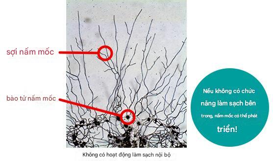 Máy hút ẩm Mitsubishi MJ-PV250WX công suất hút 24.5L/ngày
